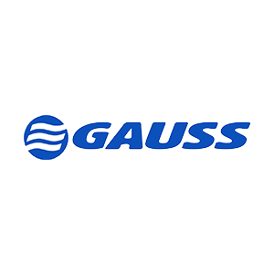 logo gauss