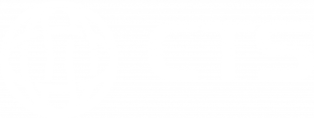 logo palestrante