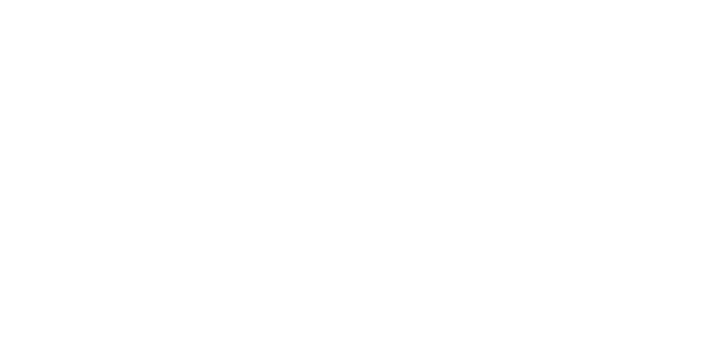 Lace Consultoria