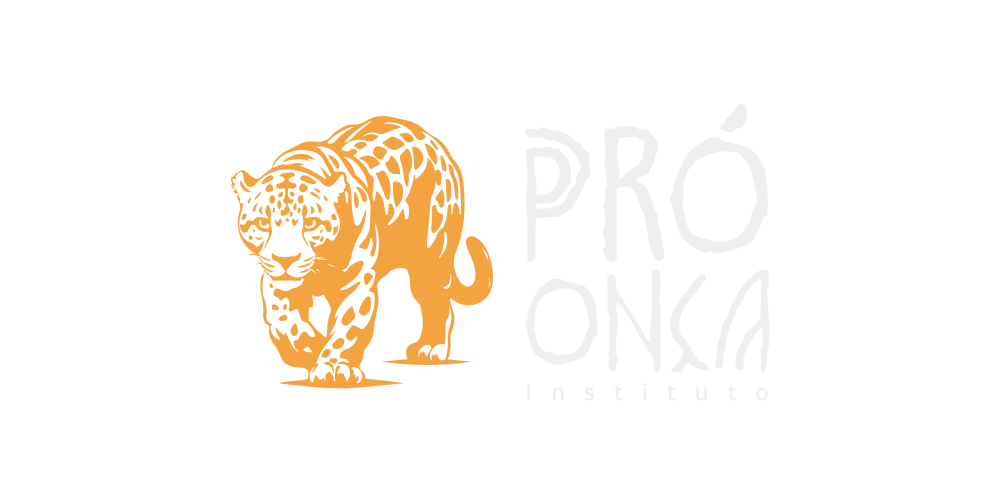 Logo Cliente